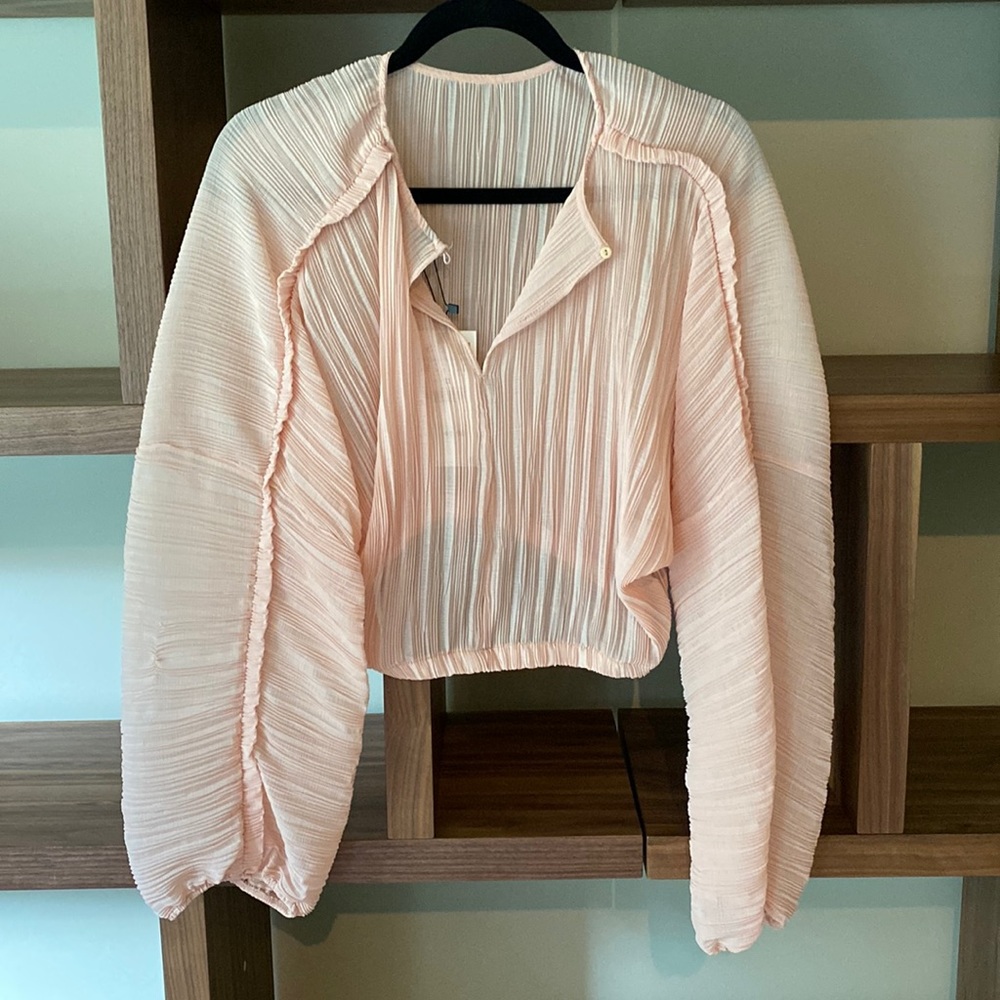 Zara Sheer Peach Blouse